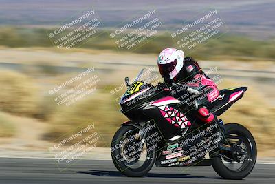 media/Jan-13-2024-SoCal Trackdays (Sat) [[9c032fe5aa]]/Turn 14 (10am)/